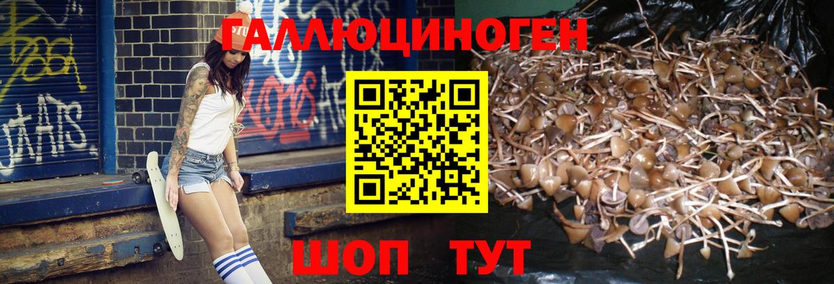 Шелехов  Псилоцибиновые грибы мухоморы  наркота  Вход с VPN  Псилоцибиновые грибы MAGIC MUSHROOMS 